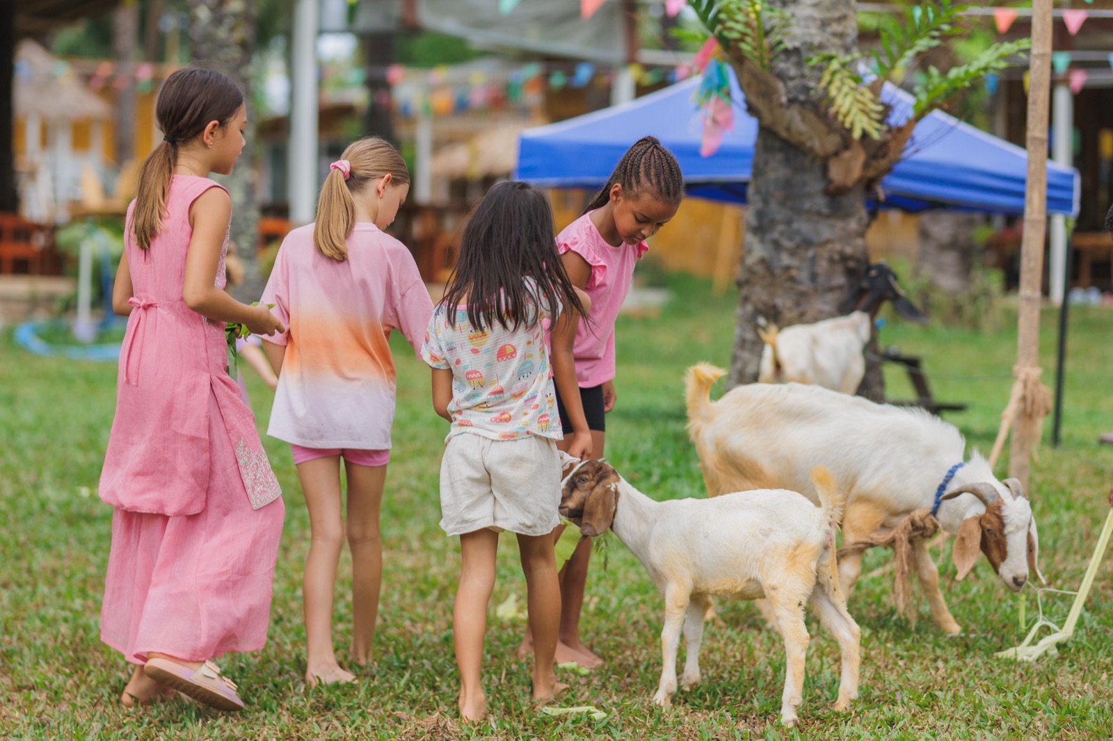 Four children outdoors caring for a goat at Bamboo Valley