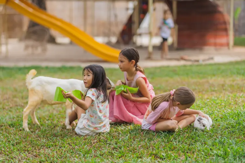 Three girls feeding a goat and stroking a rabbit on the lawn