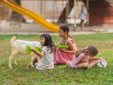 Three girls feeding a goat on the lawn