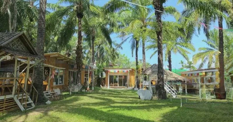 The school lawn under tall palm trees, with the wooden classrooms around it