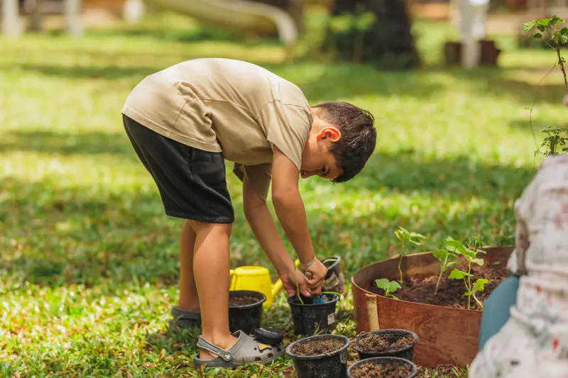 A boy tending seedling pots in the sunlit garden